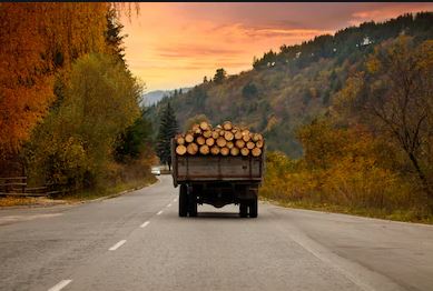 Logging Truck at Sunset.JPG